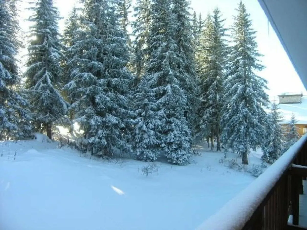 Appartement Lumineux A Meribel, Proche Des Pistes, Balcon, Tv, Lave-Vaisselle, Accepte Les Animaux - Fr-1-180-129 France